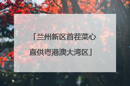兰州新区首茬菜心直供粤港澳大湾区