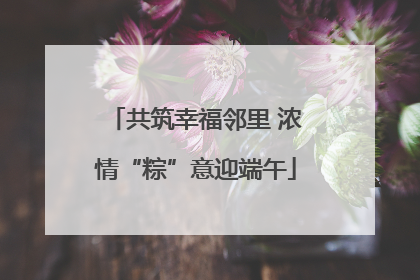 共筑幸福邻里 浓情“粽”意迎端午