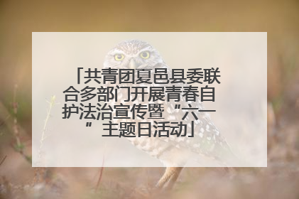 共青团夏邑县委联合多部门开展青春自护法治宣传暨“六一”主题日活动
