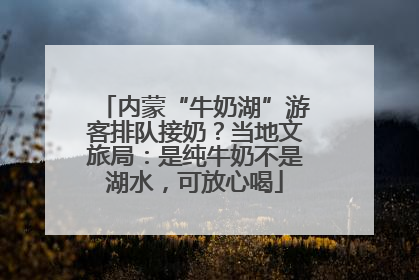 内蒙“牛奶湖”游客排队接奶？当地文旅局：是纯牛奶不是湖水，可放心喝