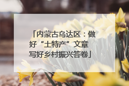 内蒙古乌达区：做好“土特产”文章 写好乡村振兴答卷