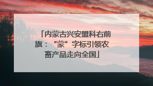内蒙古兴安盟科右前旗：“蒙”字标引领农畜产品走向全国
