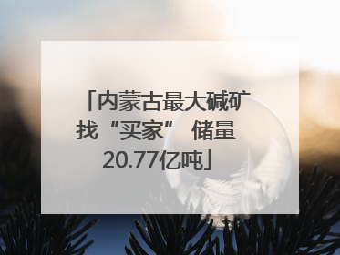 内蒙古最大碱矿找“买家” 储量20.77亿吨