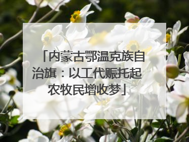 内蒙古鄂温克族自治旗：以工代赈托起农牧民增收梦