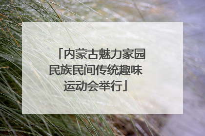 内蒙古魅力家园民族民间传统趣味运动会举行