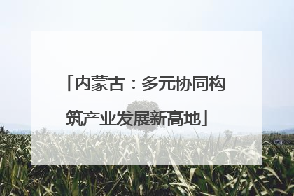 内蒙古：多元协同构筑产业发展新高地