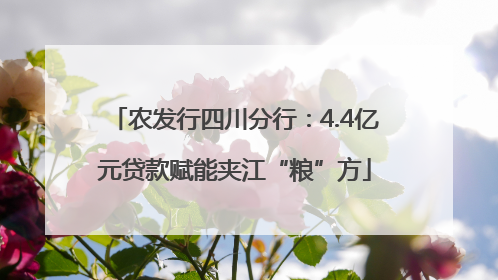 农发行四川分行：4.4亿元贷款赋能夹江“粮”方