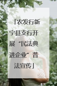 农发行新宁县支行开展“民法典进企业”普法宣传
