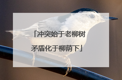 冲突始于老柳树 矛盾化于柳荫下