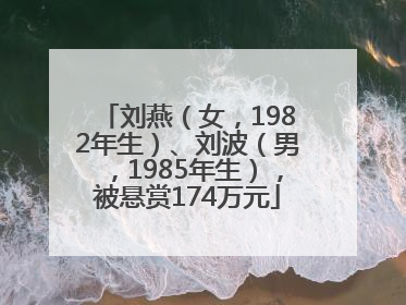 刘燕（女，1982年生）、刘波（男，1985年生），被悬赏174万元