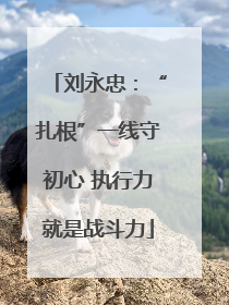 刘永忠：“扎根”一线守初心 执行力就是战斗力