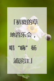 初夏的草地音乐会，唱“嗨”杨浦滨江