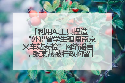 利用AI工具捏造 “外籍留学生强闯南京火车站安检”网络谣言，张某燕被行政拘留