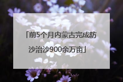 前5个月内蒙古完成防沙治沙900余万亩