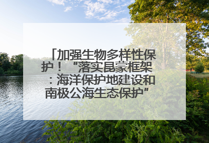 加强生物多样性保护！“落实昆蒙框架：海洋保护地建设和南极公海生态保护”主题论坛将举办