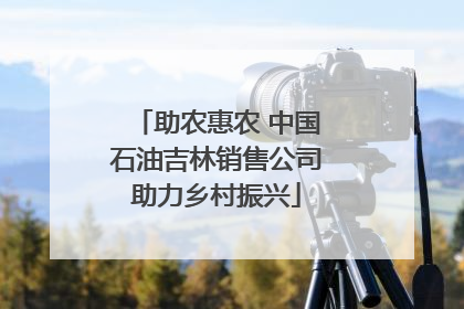 助农惠农 中国石油吉林销售公司助力乡村振兴