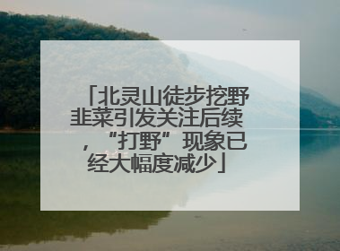 北灵山徒步挖野韭菜引发关注后续，“打野”现象已经大幅度减少