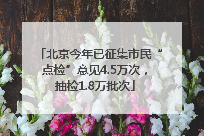 北京今年已征集市民“点检”意见4.5万次，抽检1.8万批次