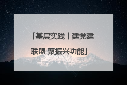 基层实践丨建党建联盟 聚振兴功能