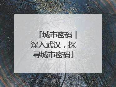 城市密码｜深入武汉，探寻城市密码