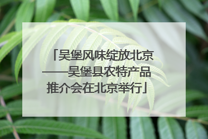 吴堡风味绽放北京——吴堡县农特产品推介会在北京举行
