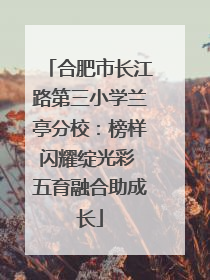 合肥市长江路第三小学兰亭分校：榜样闪耀绽光彩 五育融合助成长