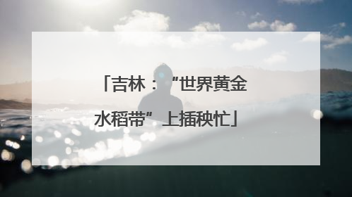 吉林：“世界黄金水稻带”上插秧忙
