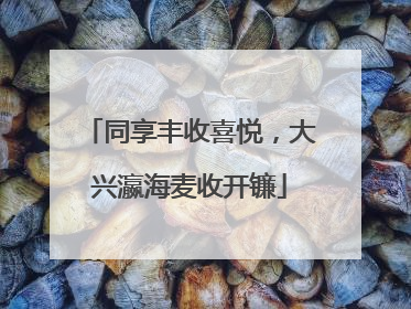同享丰收喜悦，大兴瀛海麦收开镰