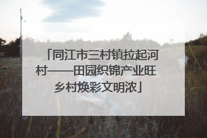 同江市三村镇拉起河村——田园织锦产业旺 乡村焕彩文明浓