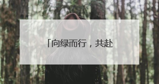 向绿而行，共赴美好——叶县举行2025年六五环境日宣传活动