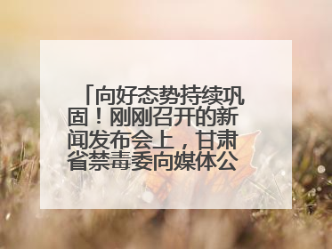 向好态势持续巩固！刚刚召开的新闻发布会上，甘肃省禁毒委向媒体公布三年禁毒工作“成绩单”
