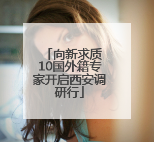 向新求质 10国外籍专家开启西安调研行
