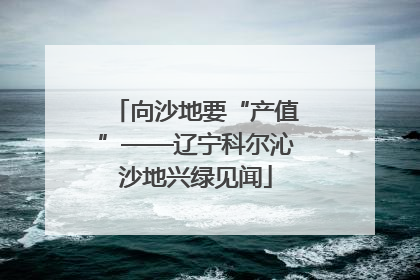 向沙地要“产值”——辽宁科尔沁沙地兴绿见闻