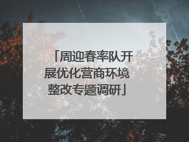 周迎春率队开展优化营商环境整改专题调研