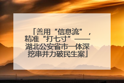 善用“信息流”，精准“打七寸”——湖北公安省市一体深挖串并力破民生案