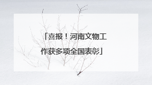 喜报！河南文物工作获多项全国表彰