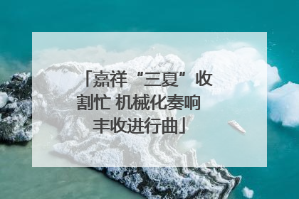 嘉祥“三夏”收割忙 机械化奏响丰收进行曲
