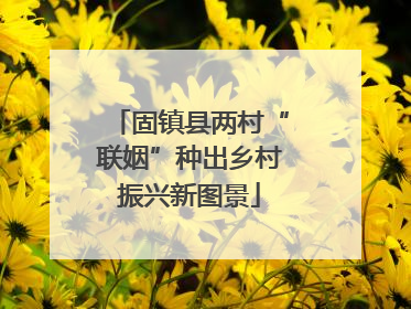 固镇县两村“联姻”种出乡村振兴新图景