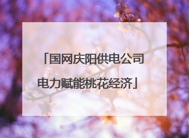 国网庆阳供电公司电力赋能桃花经济