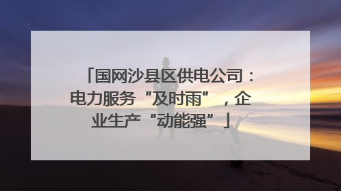 国网沙县区供电公司：电力服务“及时雨”，企业生产“动能强”