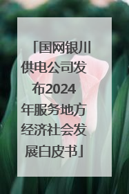国网银川供电公司发布2024年服务地方经济社会发展白皮书