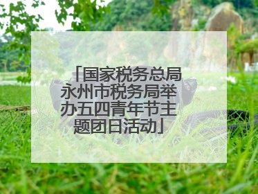 国家税务总局永州市税务局举办五四青年节主题团日活动