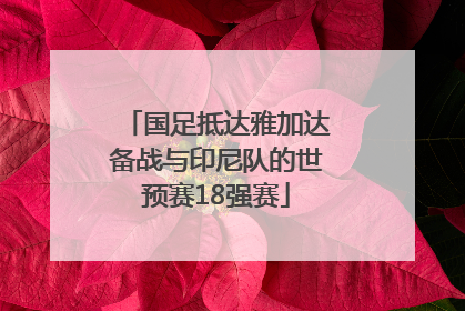 国足抵达雅加达备战与印尼队的世预赛18强赛