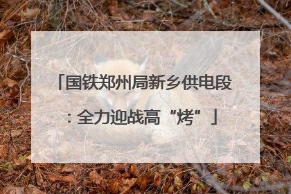 国铁郑州局新乡供电段：全力迎战高“烤”