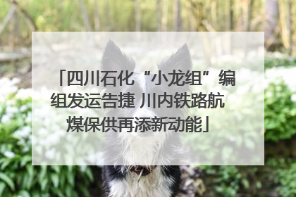 四川石化“小龙组”编组发运告捷 川内铁路航煤保供再添新动能