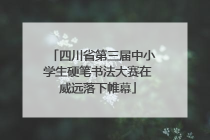 四川省第三届中小学生硬笔书法大赛在威远落下帷幕