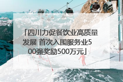 四川力促餐饮业高质量发展 首次入围服务业500强奖励500万元