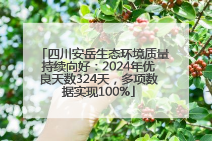 四川安岳生态环境质量持续向好：2024年优良天数324天，多项数据实现100%