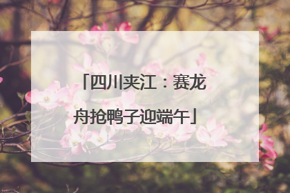 四川夹江：赛龙舟抢鸭子迎端午