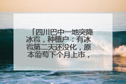 四川巴中一地突降冰雹，种植户：有冰雹第二天还没化，原本葡萄下个月上市，现在全被打落
